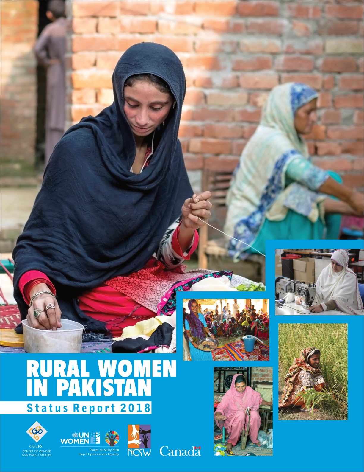 Rural Women in Pakistan Status Report