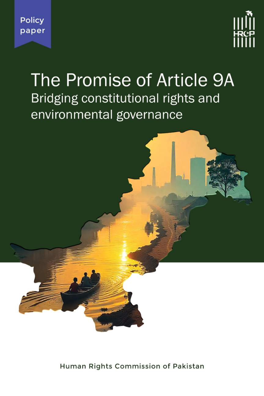 The Promise of Article 9A: Bridging constitutional rights and environmental governance